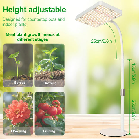 JINHONGTO compact base and stand keep the light stable on a desk.