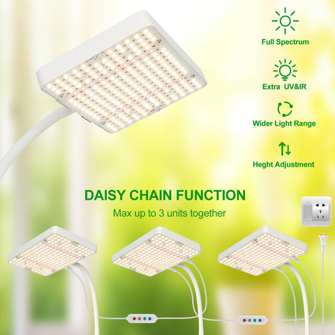 JINHONGTO daisy-chain capable system linking multiple lights from a single outlet.