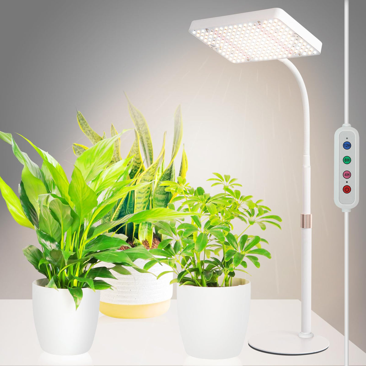 JINHONGTO table-top grow light on a desk for compact indoor gardening.