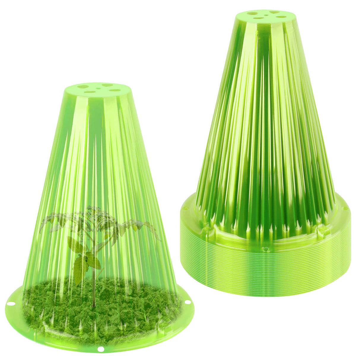 jixsloft seedling under cloche offers warmth and pest protection