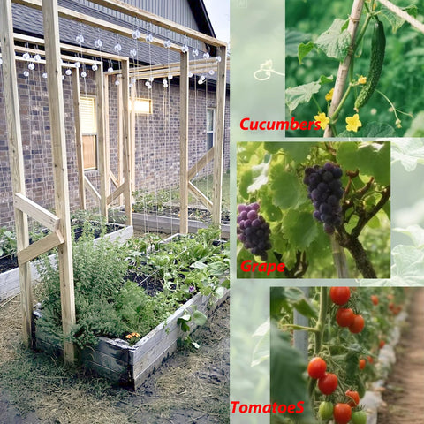 JIYUANCH overhead trellis system assembly in greenhouse