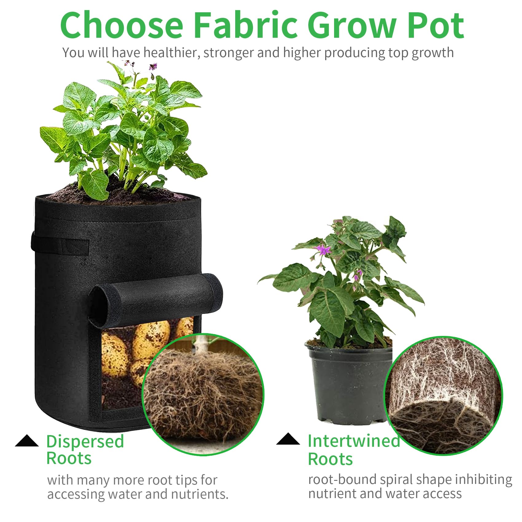 JJGoo non-woven fabric is BPA-free and breathable for roots.