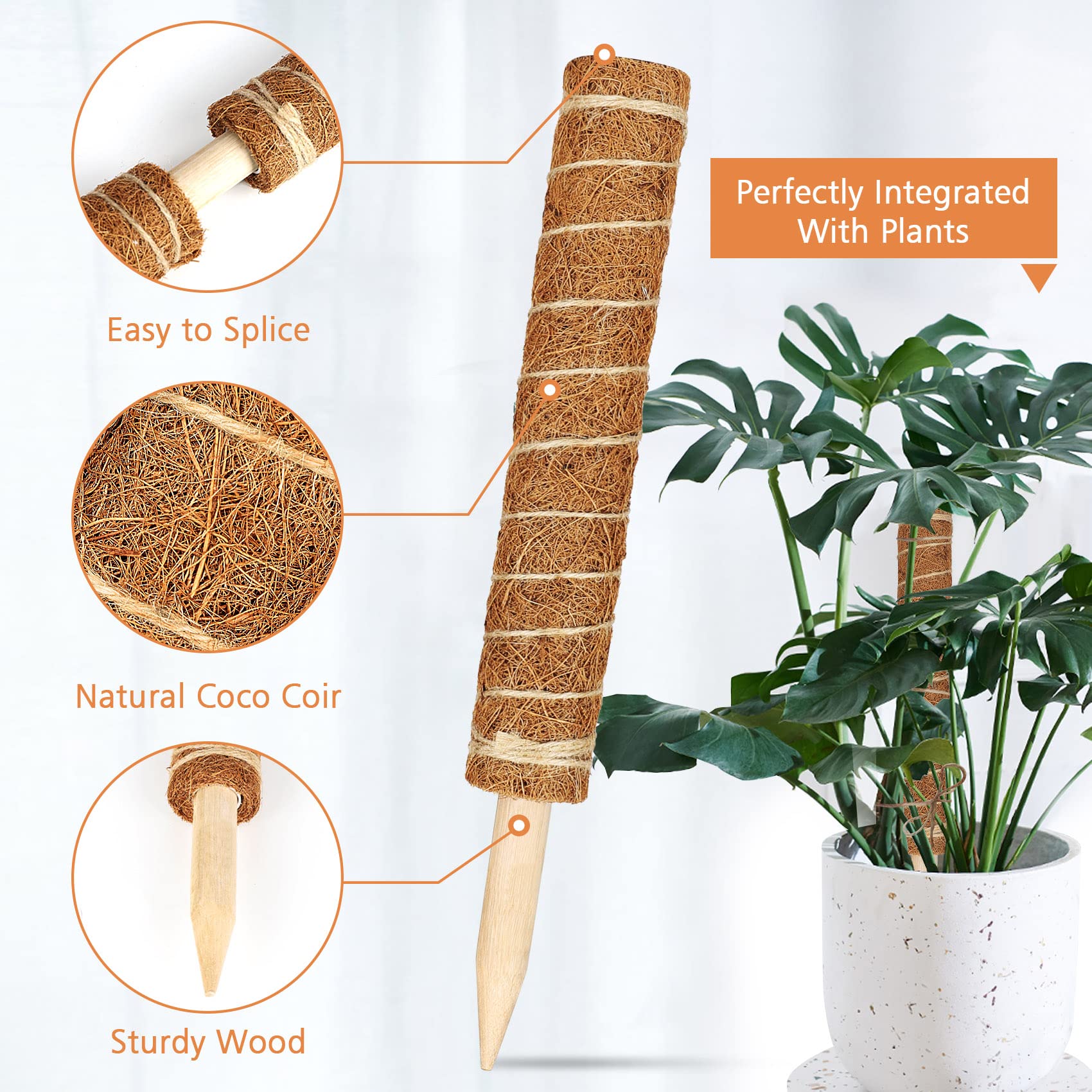 JJGoo natural coir fiber enhances moisture retention for roots.