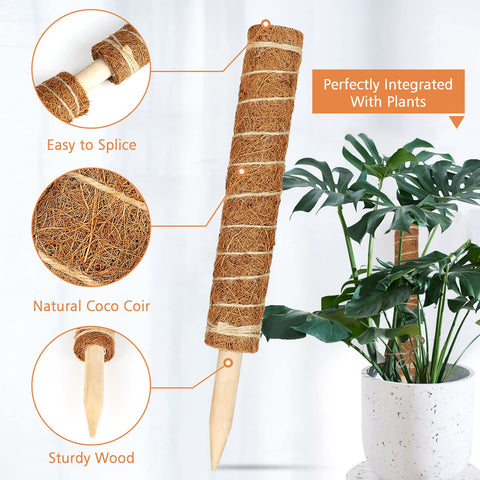 JJGoo natural coir fiber enhances moisture retention for roots.