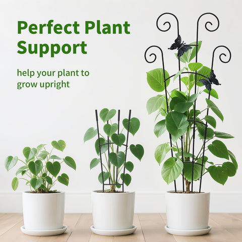 JJSHUANL ideal for potted plants in living rooms and patios.