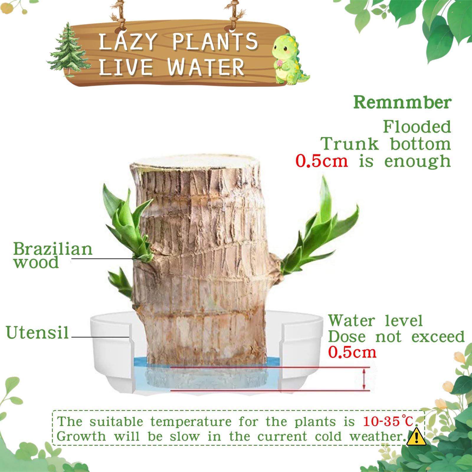 JJWYLTKB compact desk planter with Brazilian wood for small spaces.