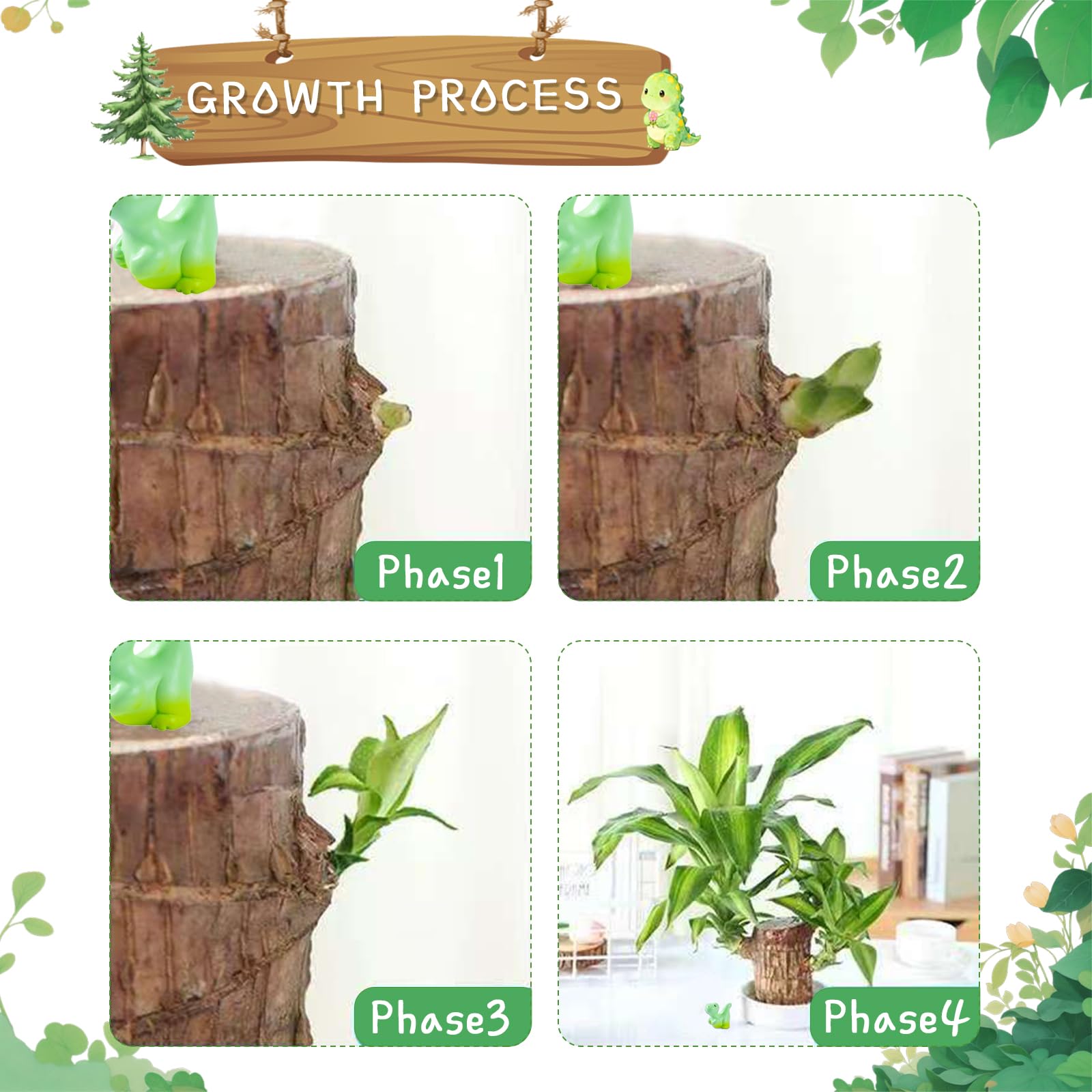 JJWYLTKB compact desk decor set featuring Brazilian wood plant.