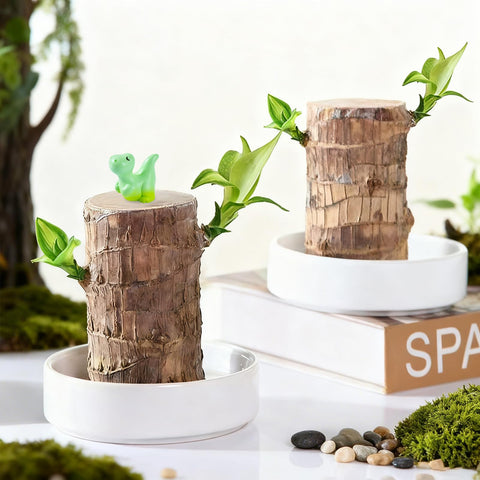 JJWYLTKB gift-ready packaging highlighting ready-to-gift decor set.