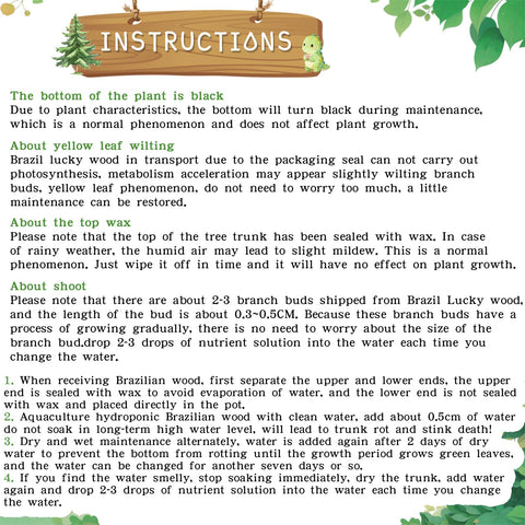 JJWYLTKB indirect-light care guide image showing maintenance tips.