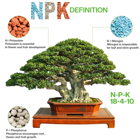 JK Global Imports Bonsai All-Purpose Fertilizer applied to bonsai pot improves soil vitality.