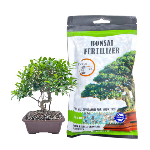 JK Global Imports Bonsai All-Purpose Fertilizer bottle front boosts robust root growth.