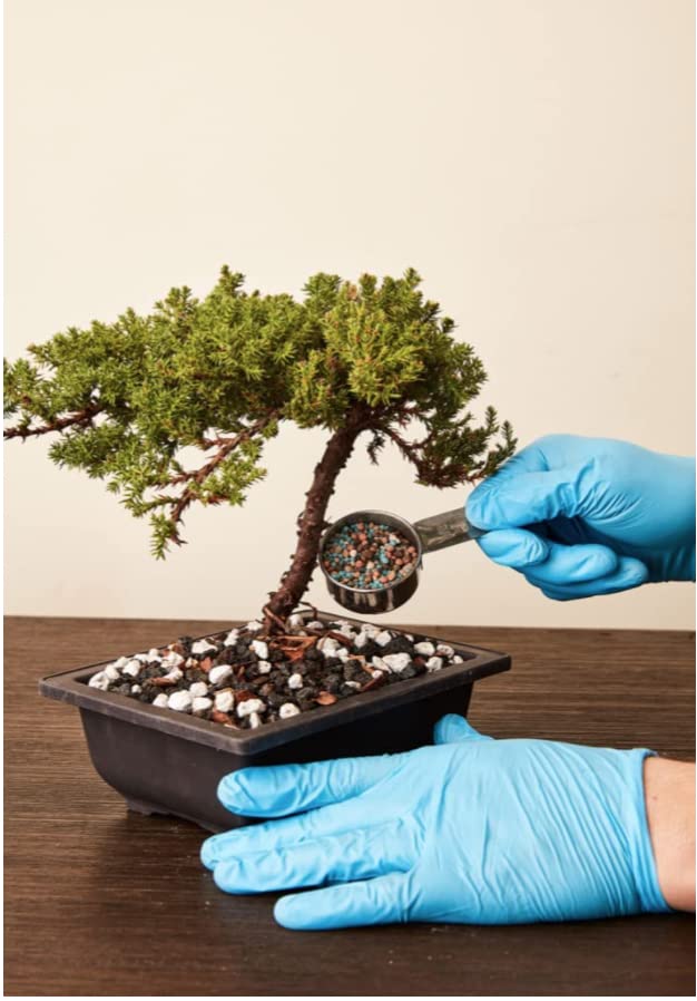 JK Global Imports Bonsai All-Purpose Fertilizer measurement spoon demonstrates easy dosing.