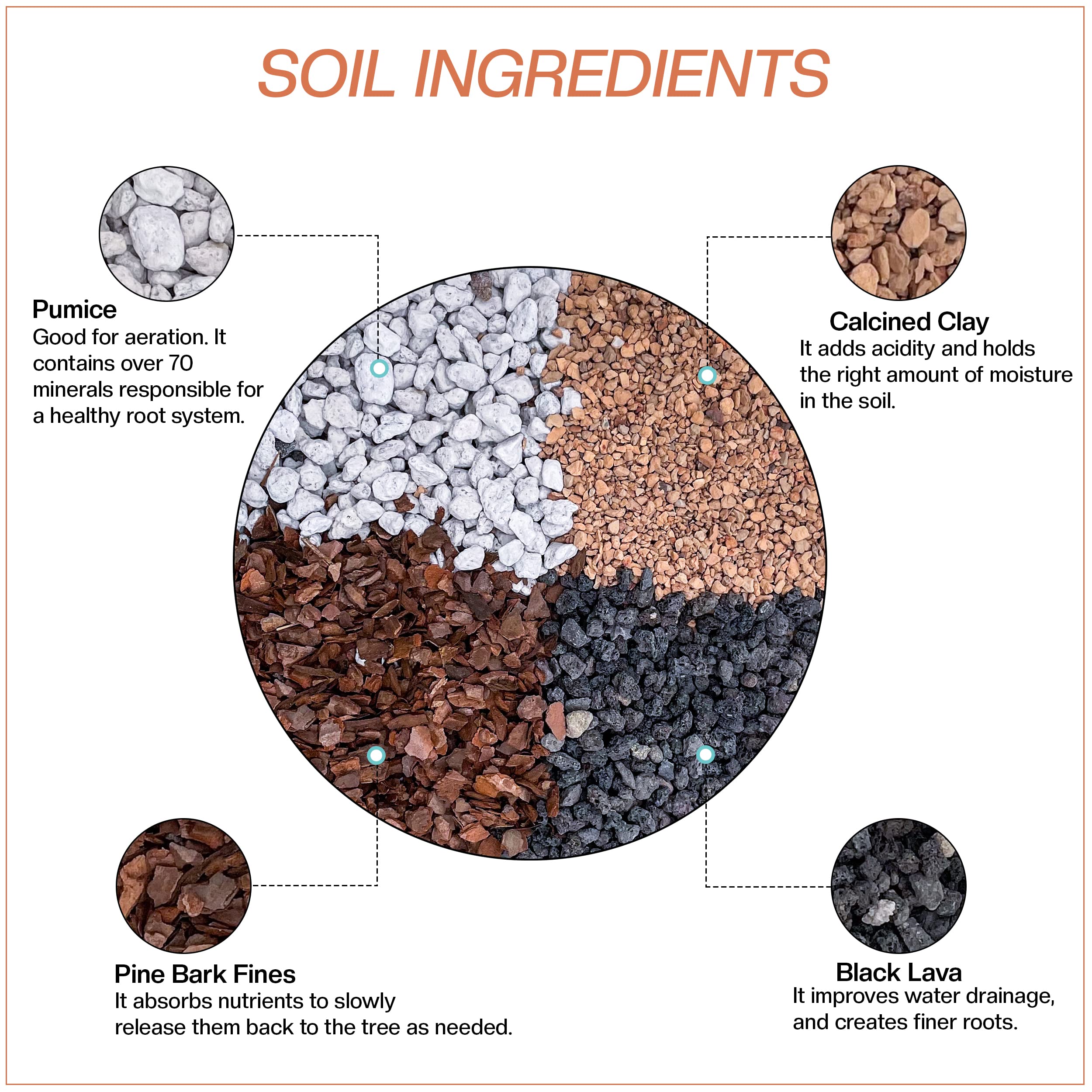 Close-up of pumice and lava in JK Global Imports mix for fast draining roots.