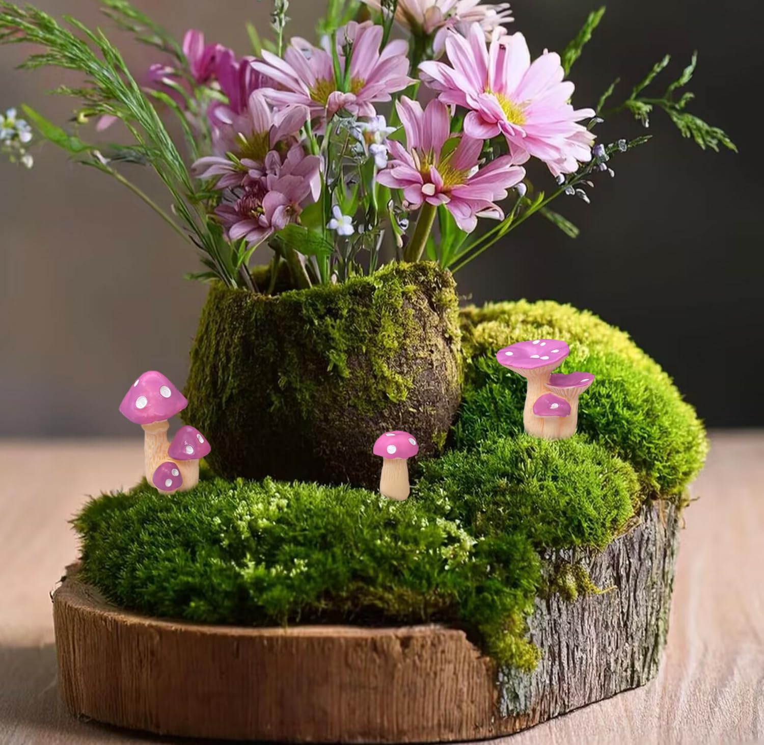 JKanruh small mushrooms range from 0.35 to 1.2 inches for crafts