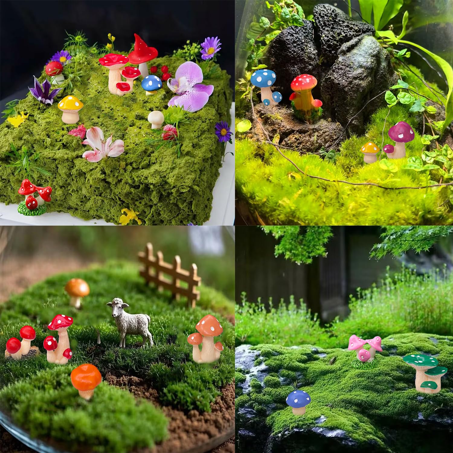 JKanruh tiny mushrooms enhance home mini gardens and terrariums