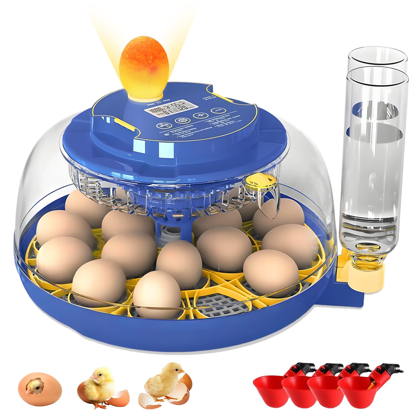 Jkwiwe 18-egg incubator with auto turning for consistent hatching progress.