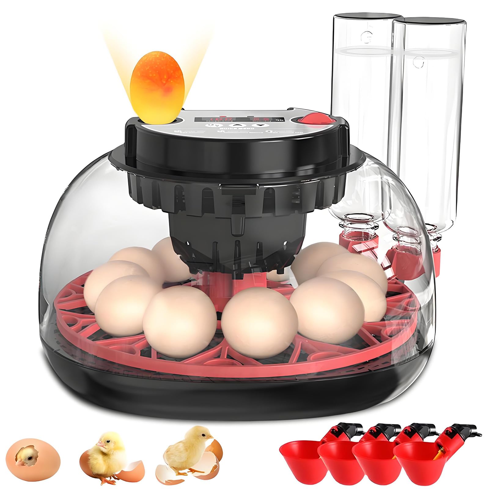 JKWIWE incubator 12-egg tray view for organized hatching.
