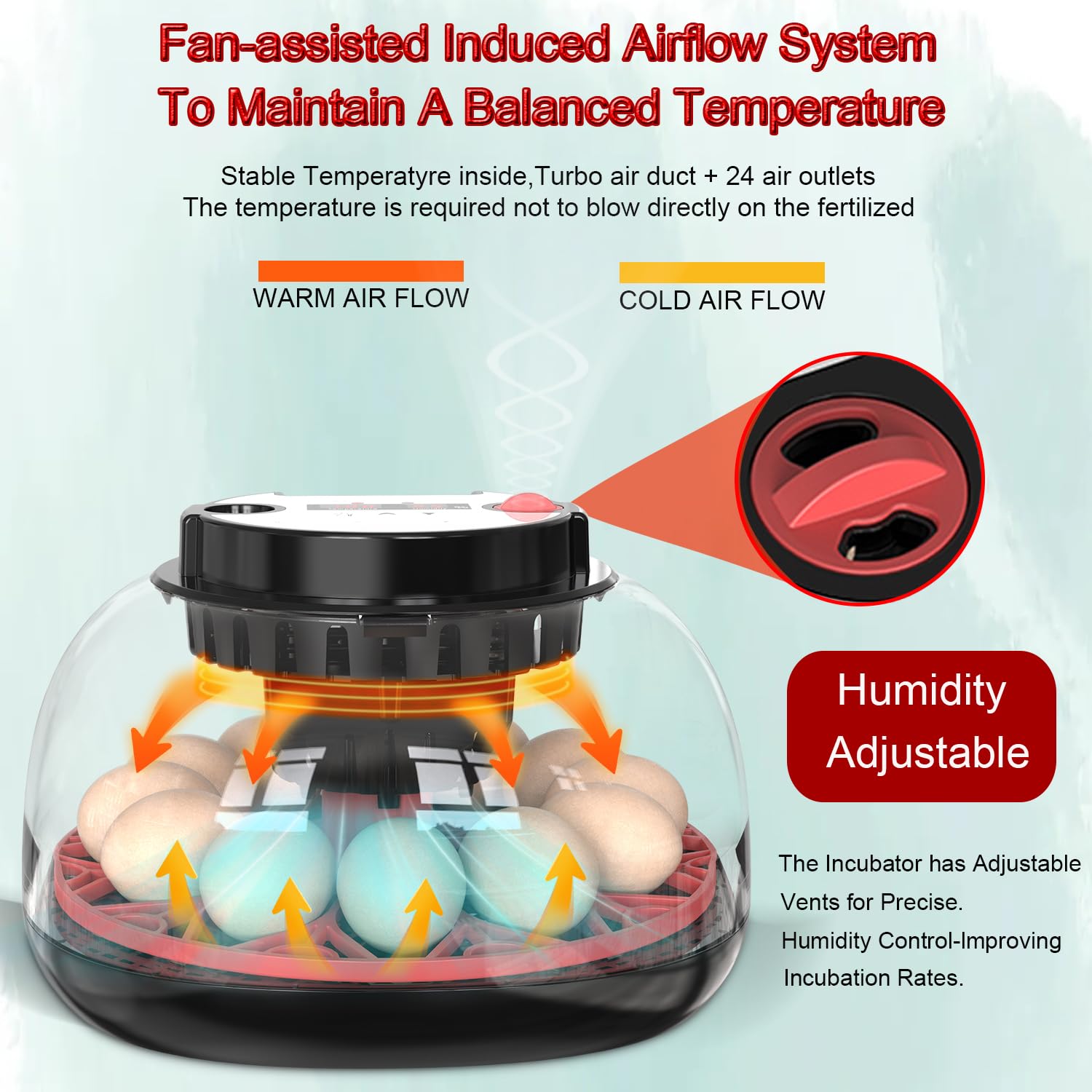 JKWIWE incubator 360-view panel for observing embryos safely.