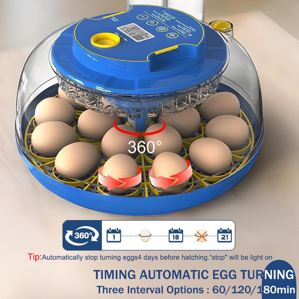 Jkwiwe precise temperature control ensures even heat distribution during incubation.