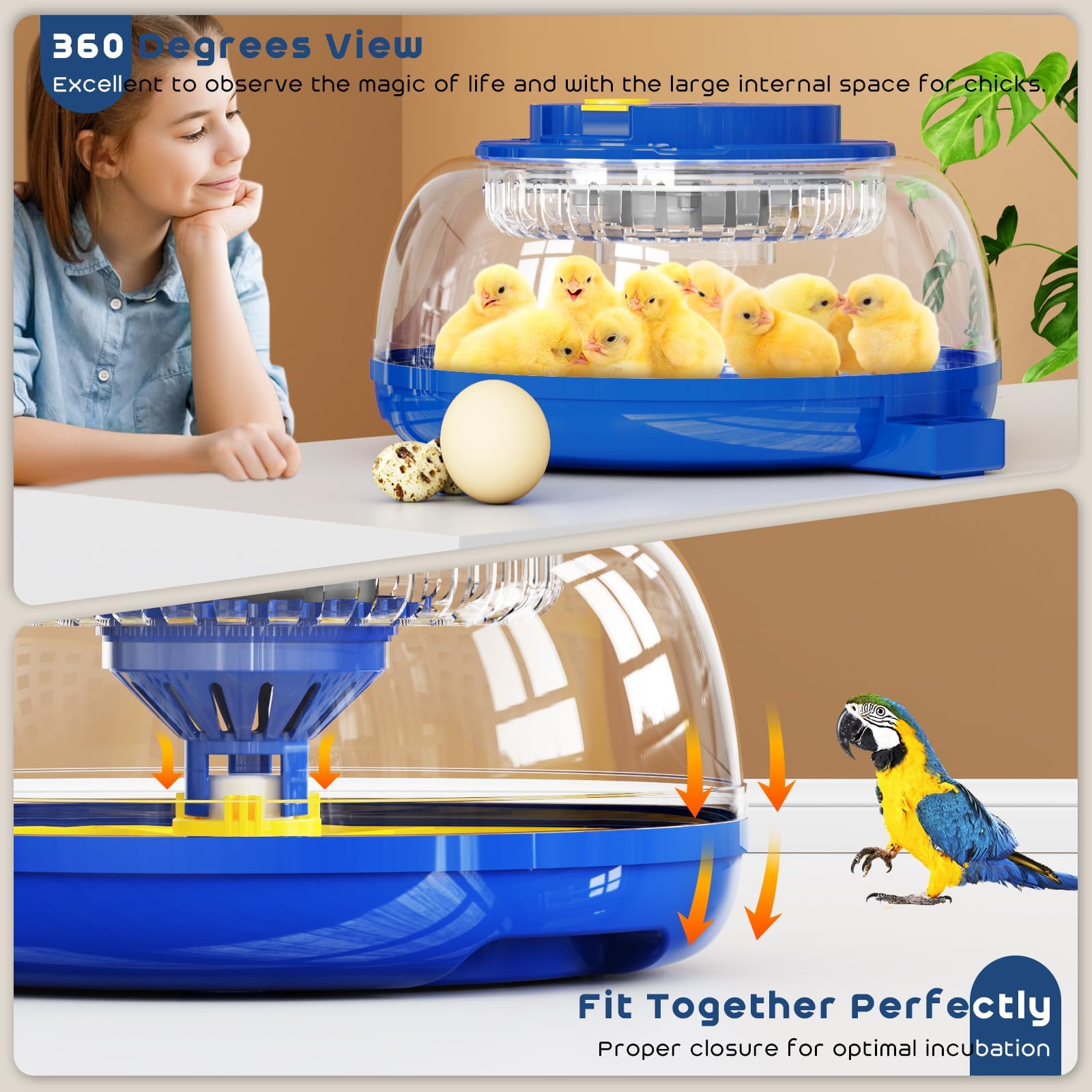 Jkwiwe ready-to-use kit includes all essentials to start hatching.