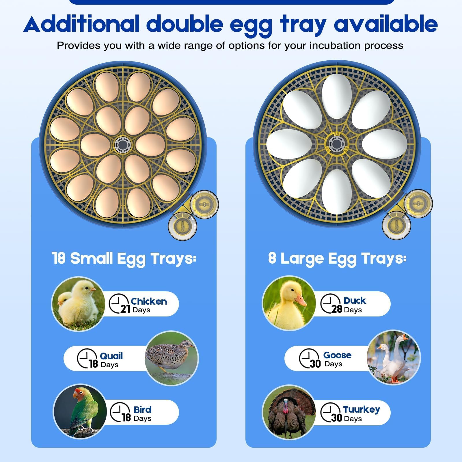 Jkwiwe ultra-quiet operation keeps a calm environment for eggs.
