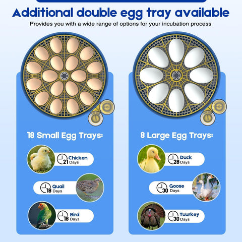Jkwiwe ultra-quiet operation keeps a calm environment for eggs.