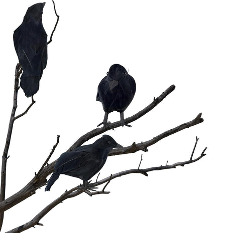 JLJIUBBKX indoor mantel crow statue adds moody charm.