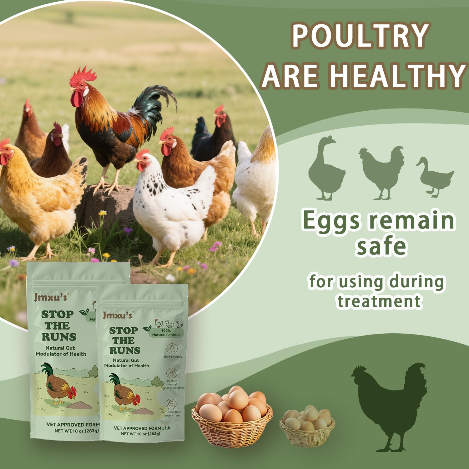 Jmxu's Chicken Gut Modulator sealed packaging preserves activity during storage.