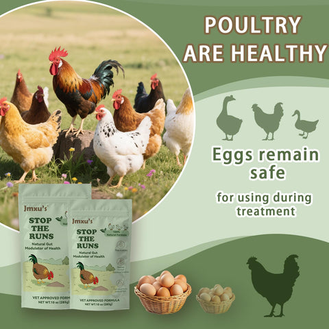 Jmxu's Chicken Gut Modulator sealed packaging preserves activity during storage.