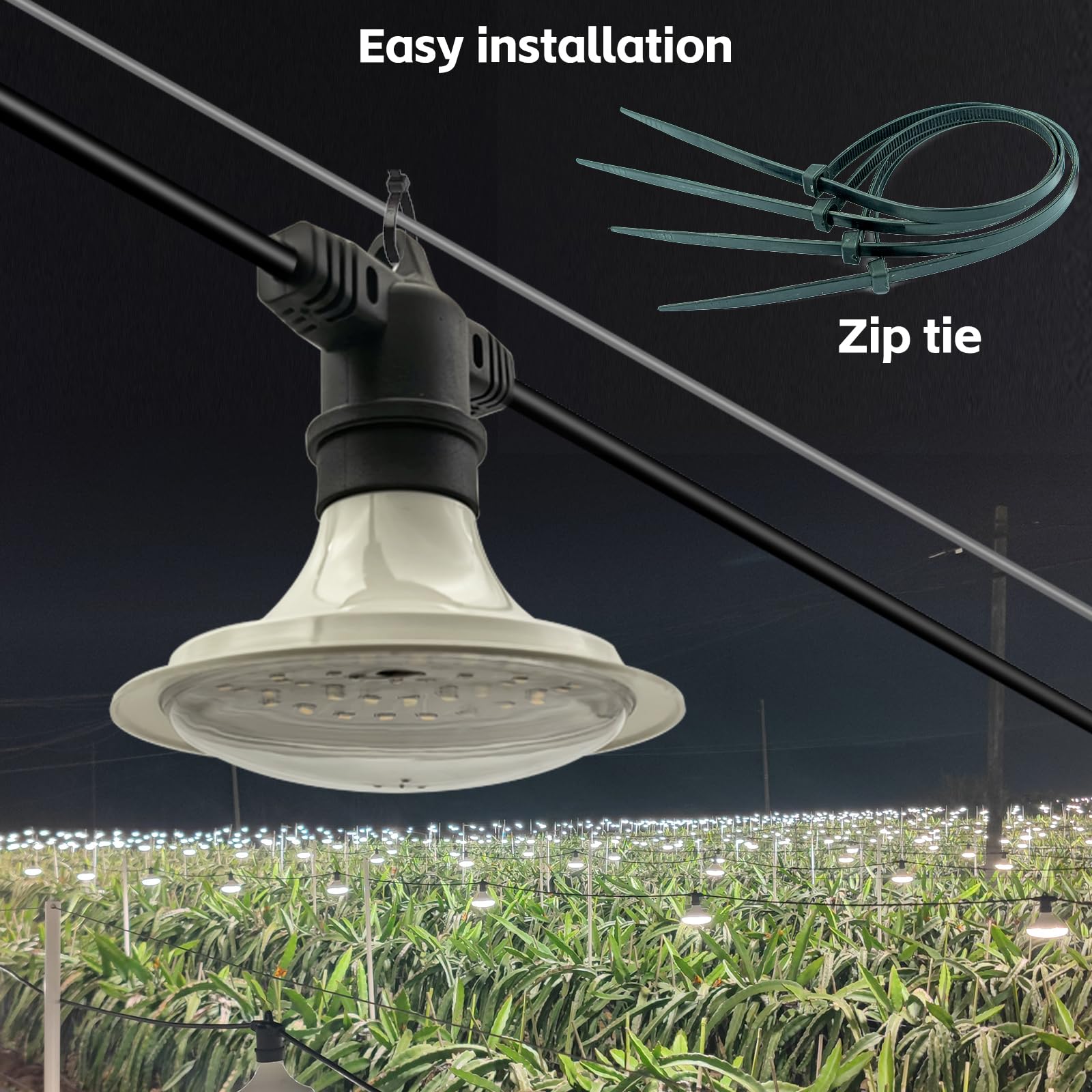 JMXULONG seedling to fruit growth light supports diverse crops and stages.