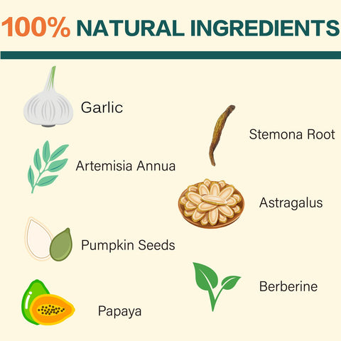 Close view of garlic and Artemisia ingredients in Jmxu's Dewormer.