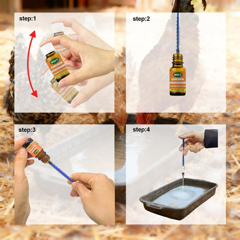 Laying hens near healthy eggs using Jmxus parasite control.