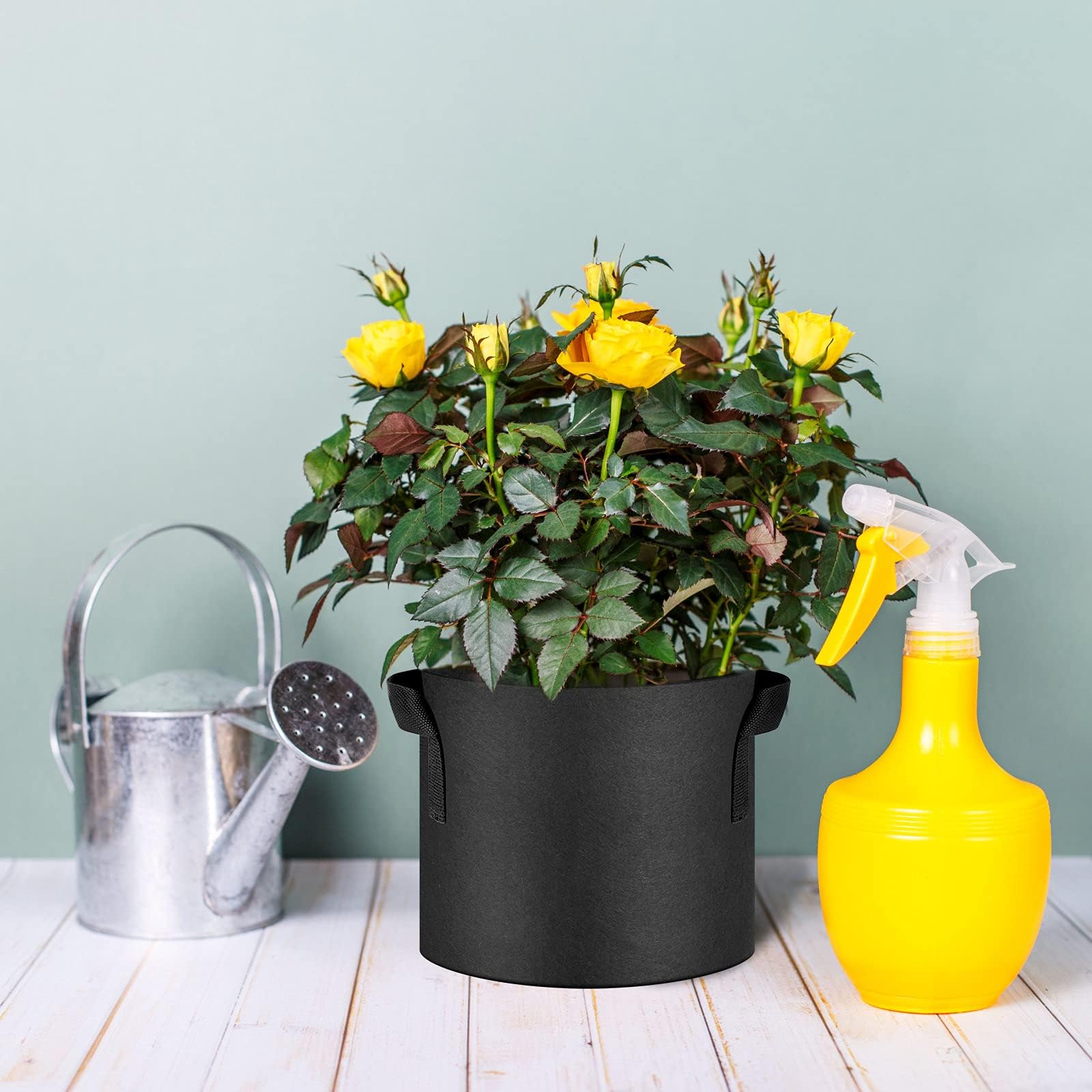 JNYONG breathable aeration fabric supports healthier container growth.