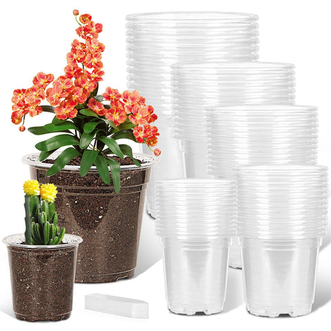 JNYONG clear 3.5 inch nursery pot with drainage for easy root observation.