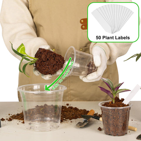 JNYONG clear 5 inch nursery pot with drainage for medium plant growth.