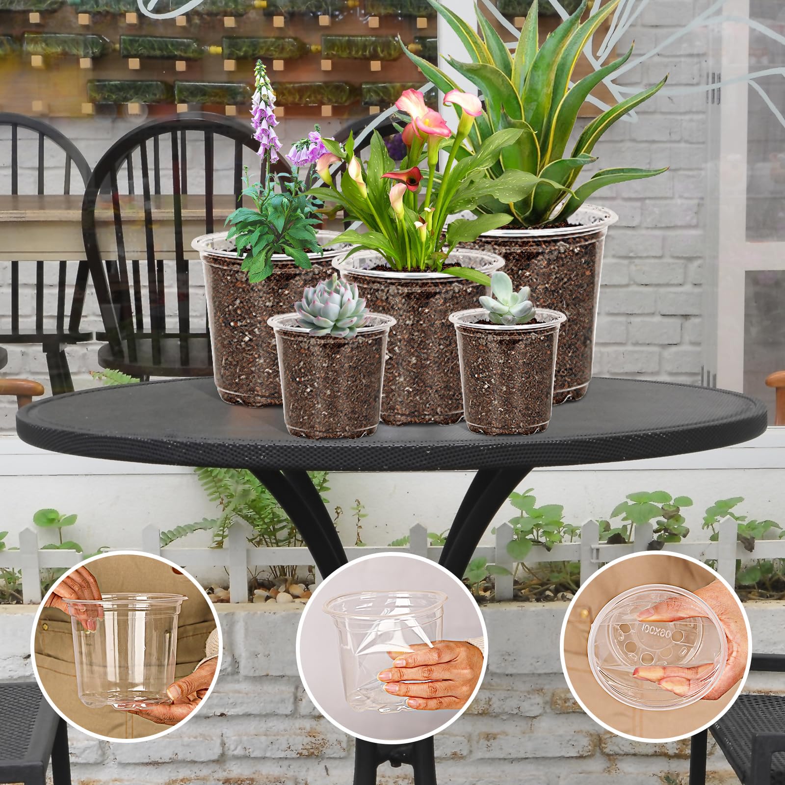 JNYONG clear 7 inch nursery pot with drainage for mature seedlings and transplanting.