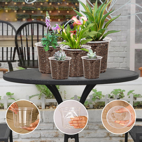 JNYONG clear 7 inch nursery pot with drainage for mature seedlings and transplanting.