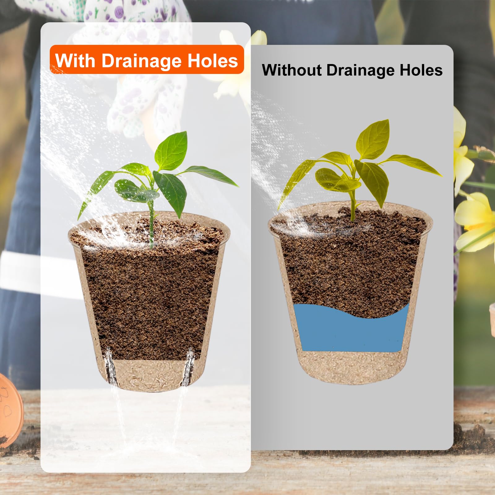 JNYONG peat pots allow direct transplant without pot removal
