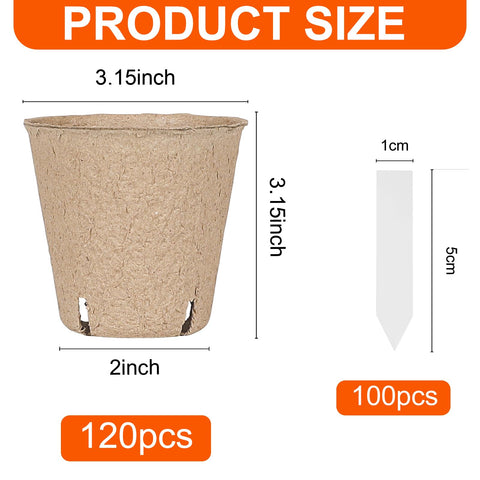 JNYONG peat pots with drainage holes support healthy root growth.
