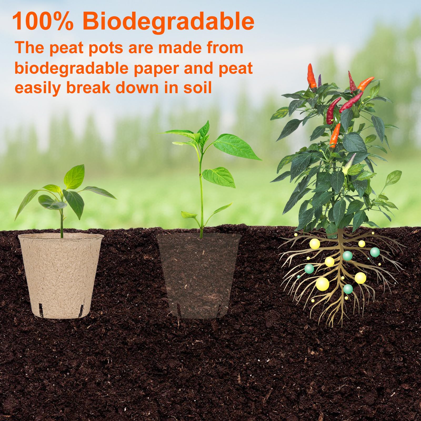 JNYONG includes 100 plant labels for easy seed marking.