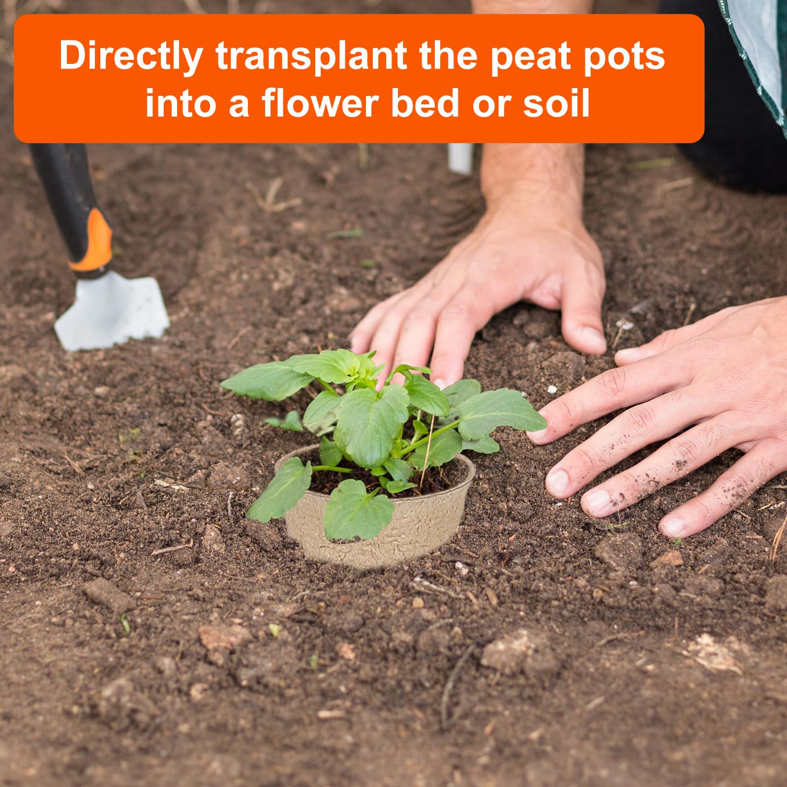 JNYONG seedling pots suitable for vegetables, fruits, flowers, and herbs.