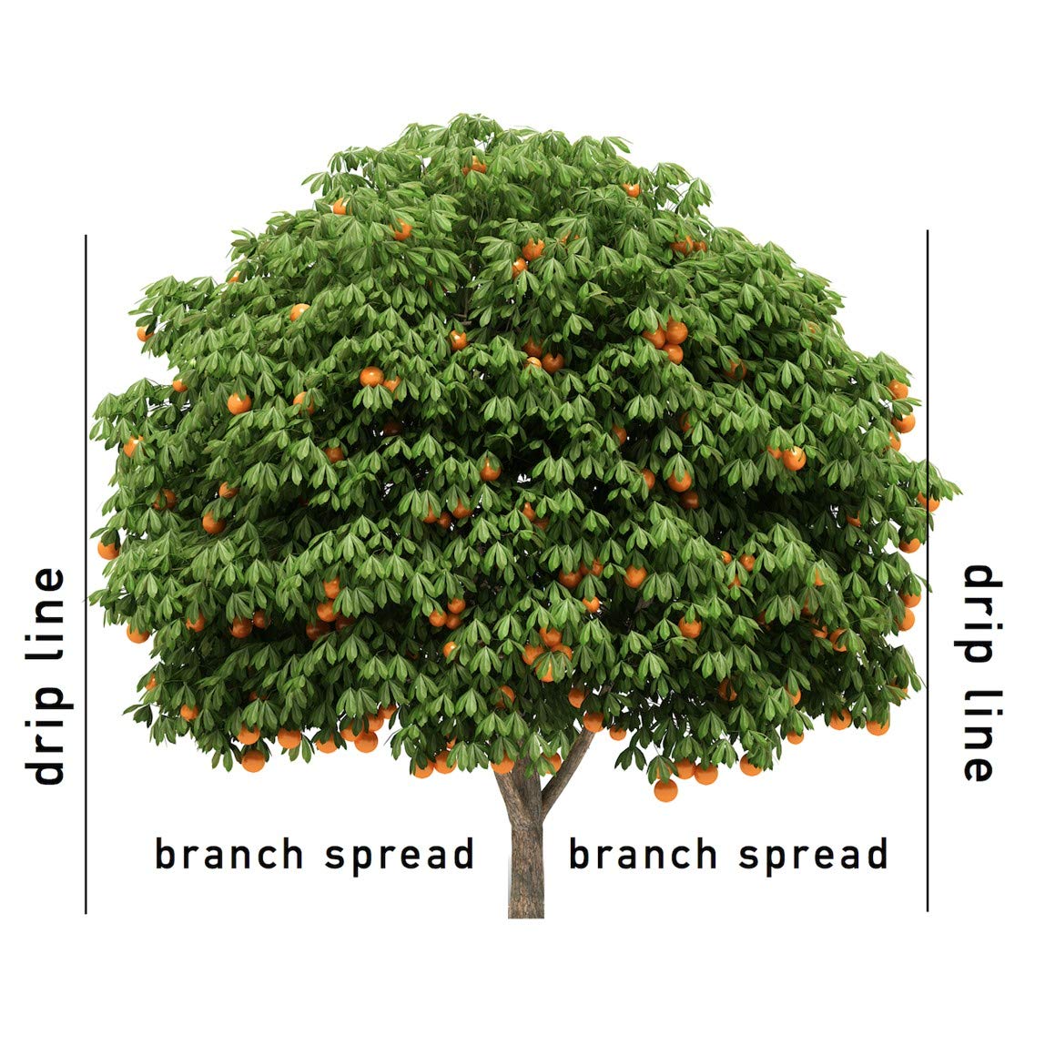 Jobe's Organics easy application twice yearly action that saves gardeners time.