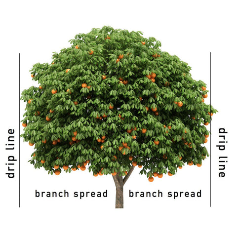 Jobe's Organics easy application twice yearly action that saves gardeners time.