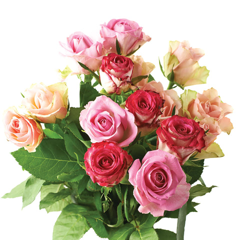 Jobes Organics flowering shrubs benefit from spikes for steady nourishment