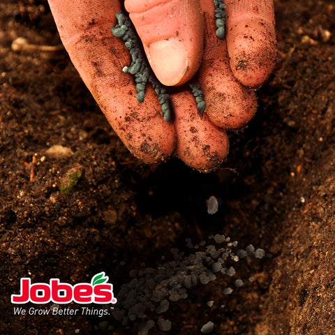 Jobe’s Organics flowering border with vibrant blooms after application.