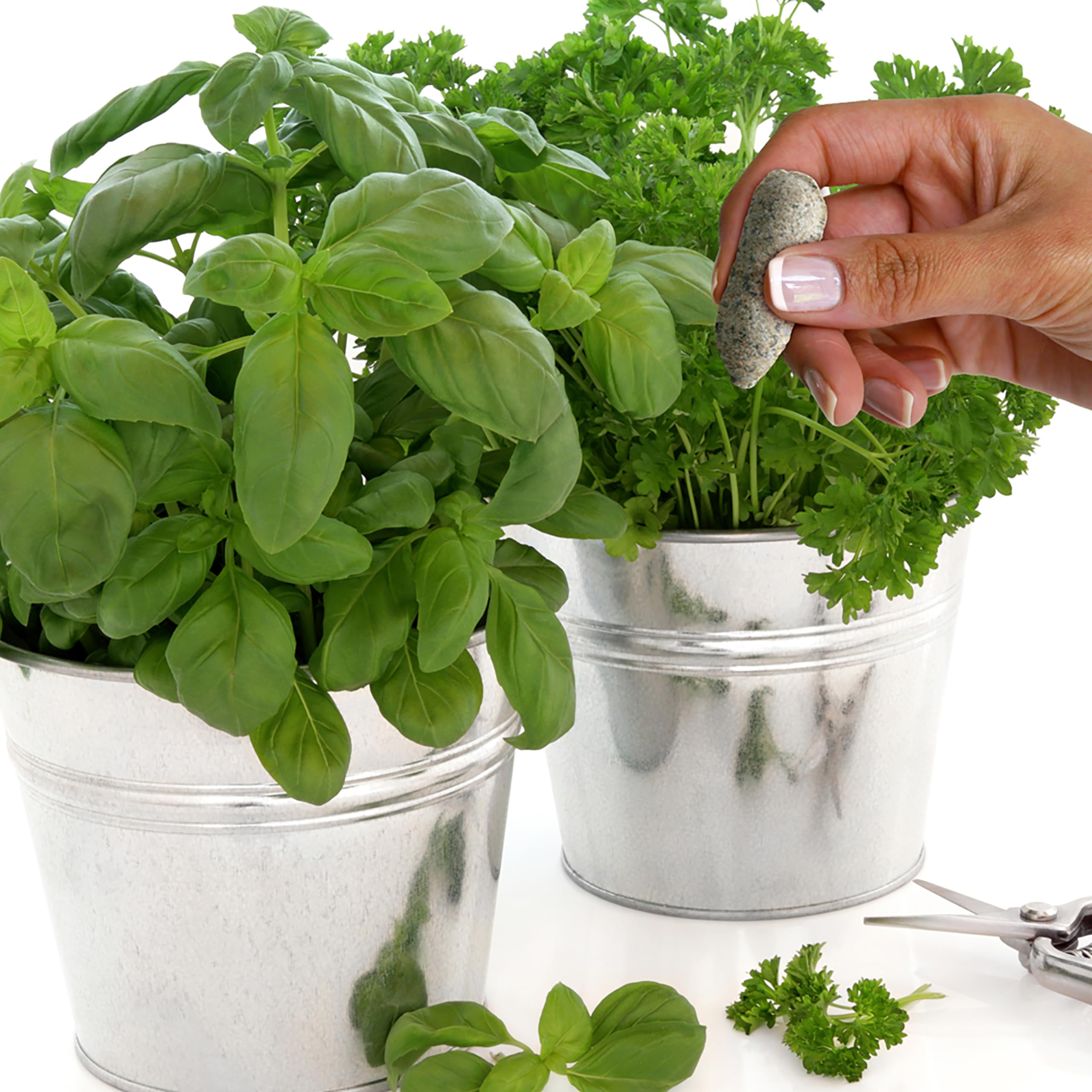 Safe for children and pets around gardening with Jobe's Organics