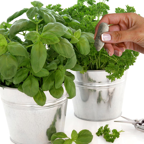 Safe for children and pets around gardening with Jobe's Organics