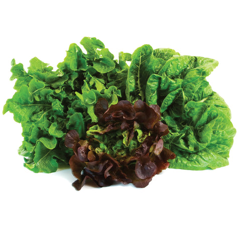 Application of Jobe's Organics blood meal for spinach, broccoli, and leafy greens shows lush growth.