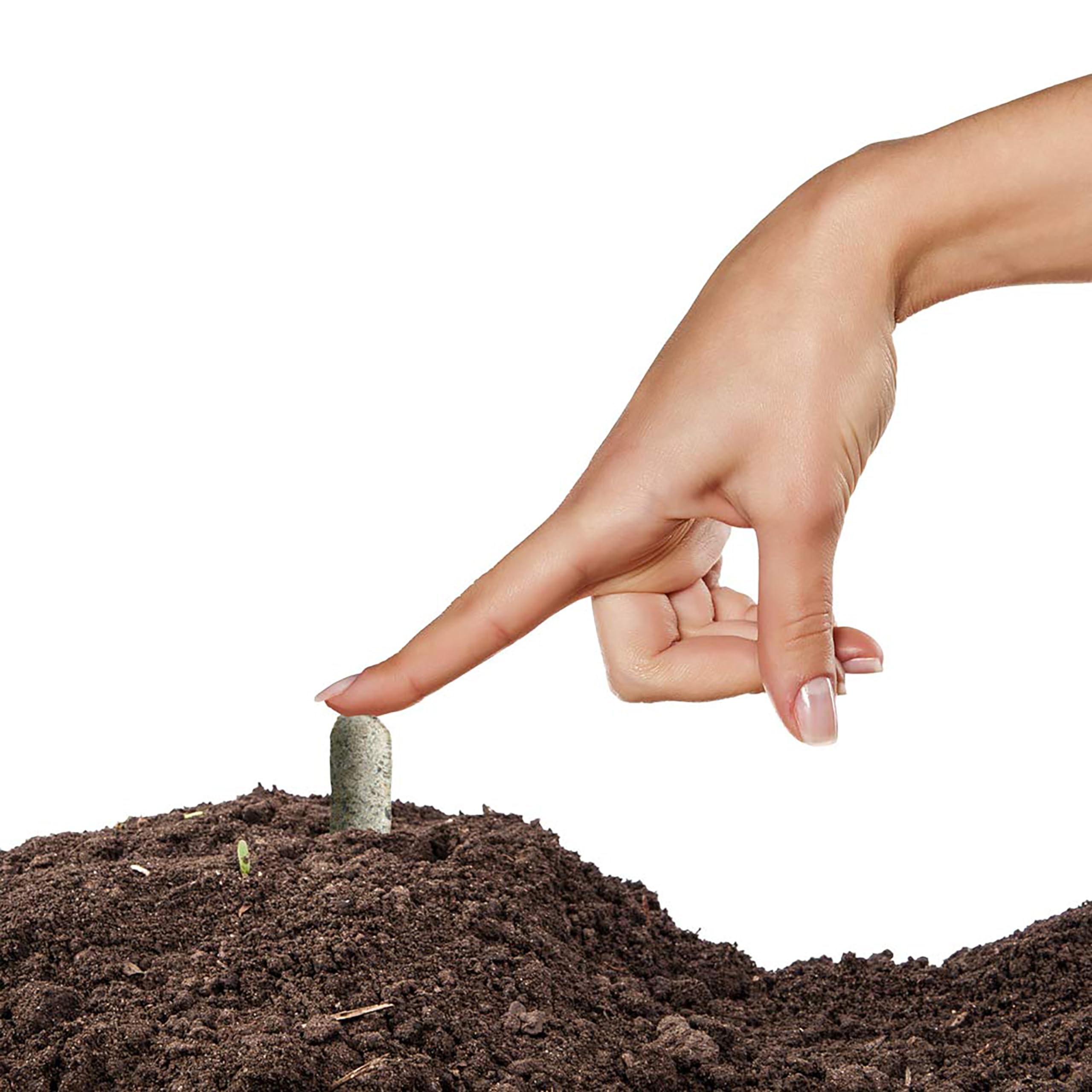 Bedding plants benefit from pre-measured, mess-free fertilizer spikes.