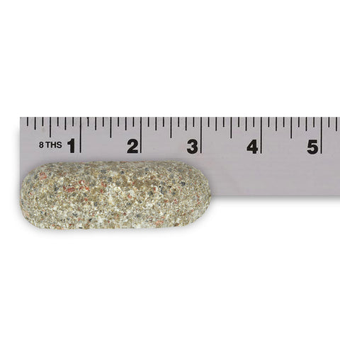 Jobe’s Organic Tomato Fertilizer Spikes with underground feeding action